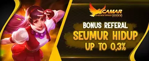 Daily Cashback Slot